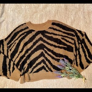 Cropped AE Tiger Sweater